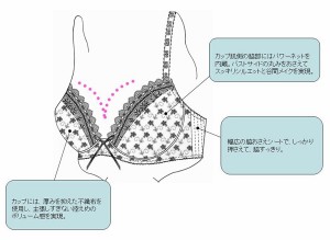 大きな胸を小さく見せたい 女ゴコロに応える 小さく見せるブラ ワコールが発売 ライブドアニュース