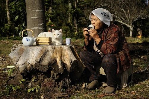 おばあちゃんと猫の愛らしいストーリー。心温まる、みさおとふくまる ? Grandmother and Her Cat -