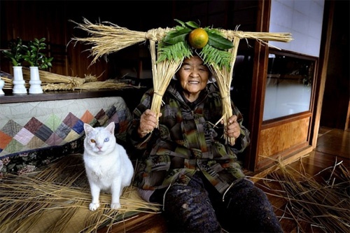 おばあちゃんと猫の愛らしいストーリー。心温まる、みさおとふくまる ? Grandmother and Her Cat -