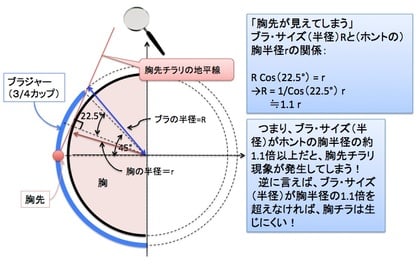 「胸先チラリ&」の幾何学!? ー Bカップ以下の小胸さんが要注意!という証明!?