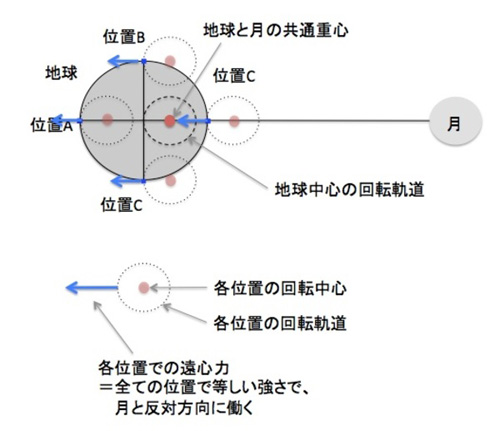 「月に引かれてる」のに「反対側も盛り上がる」のはなんで？