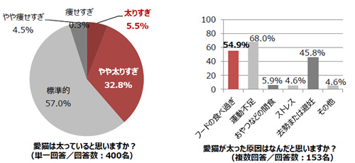 プレスリリースより引用