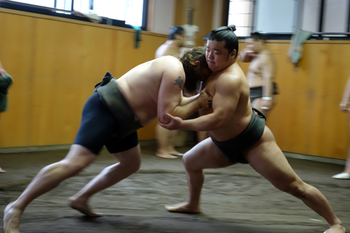 ぶつかり稽古