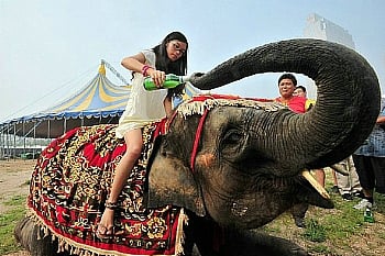 中国 青島国際ビール祭り 中国 青島国際ビール祭り