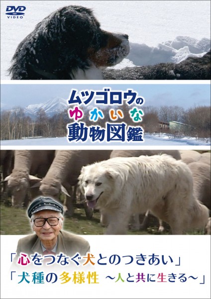 ムツゴロウのゆかいな動物図鑑』コンプリートBOX 1 [DVD] 中古