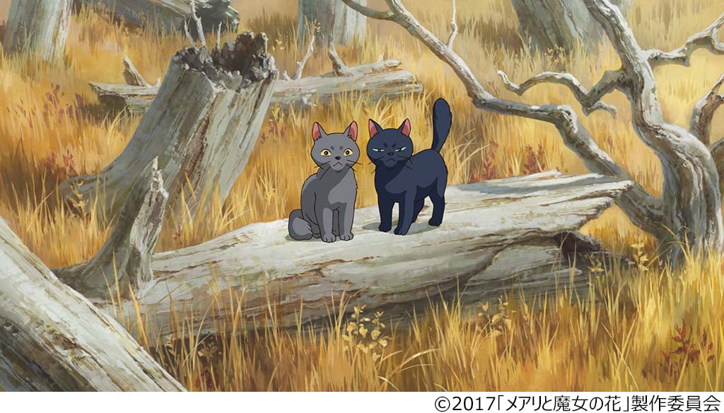 メアリと魔女の花 メアリ ティブ BIG ぬいぐるみ ねこ 黒 ジブリ