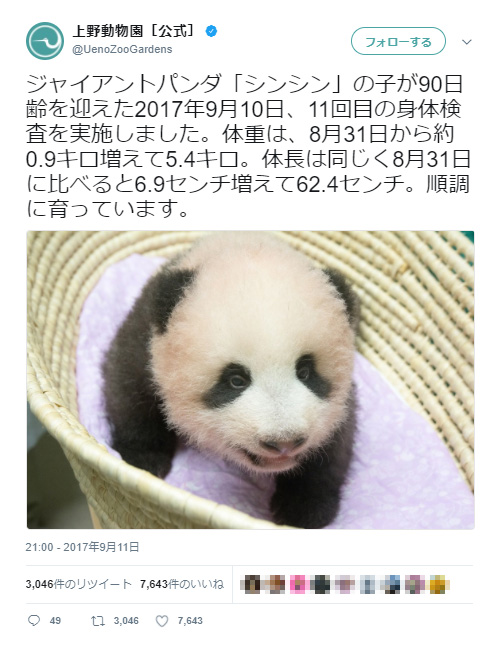 可愛い 上野動物園の赤ちゃんパンダがすくすく育つ 名前が楽しみ 早く赤ちゃんパンダに会いた い とネットの声 ガジェット通信 Getnews
