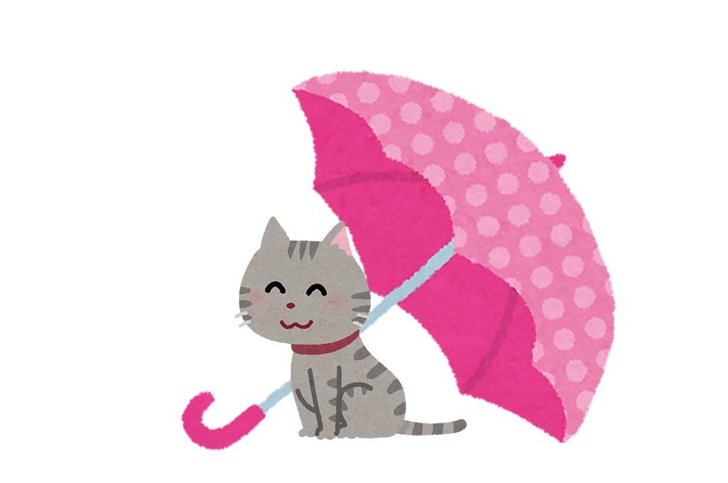 玄関で傘干してたら うちの猫もたまにあります 傘猫画像が続々集まる ガジェット通信 Getnews