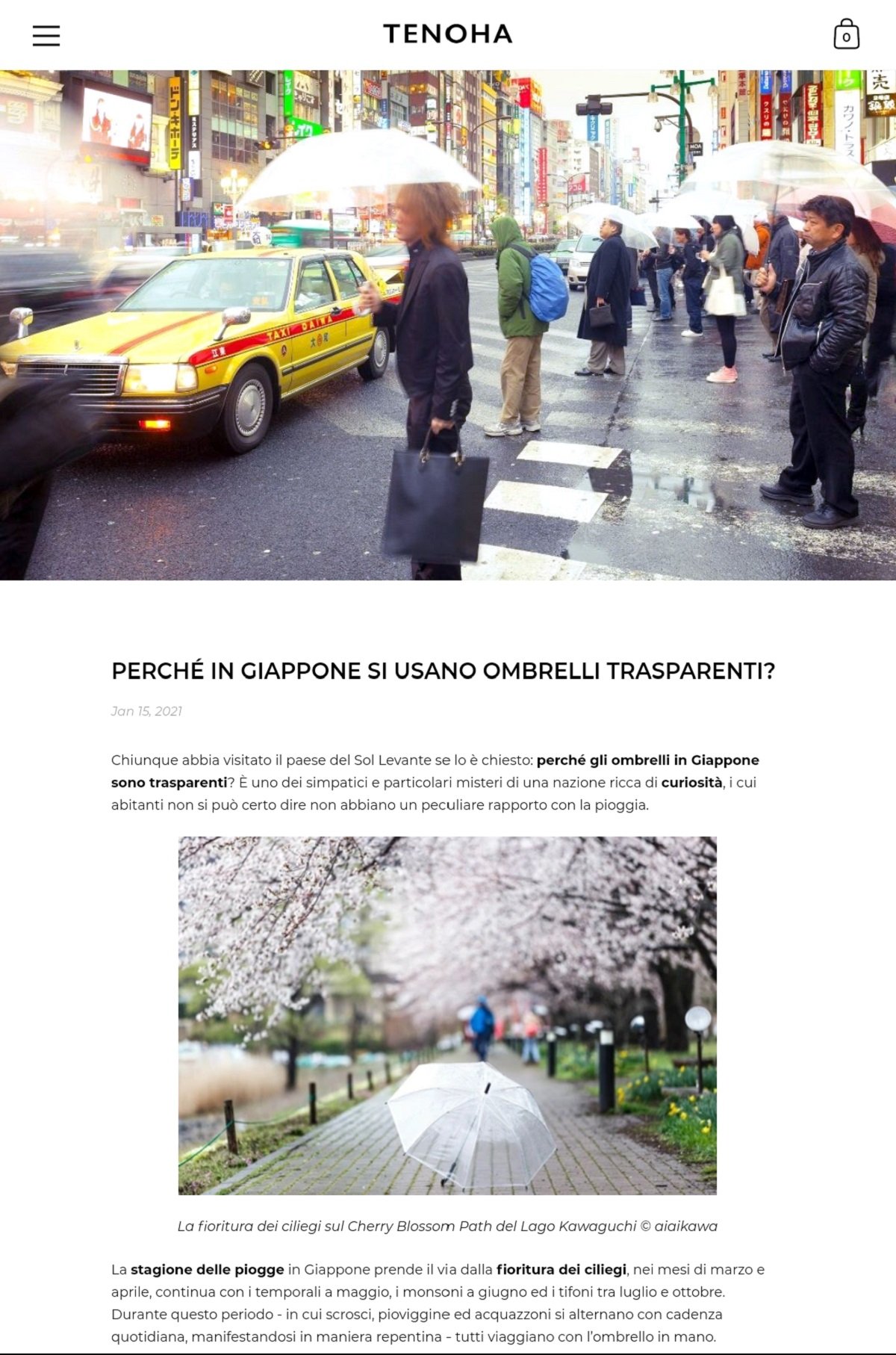 umbrella_Italia_01.jpg