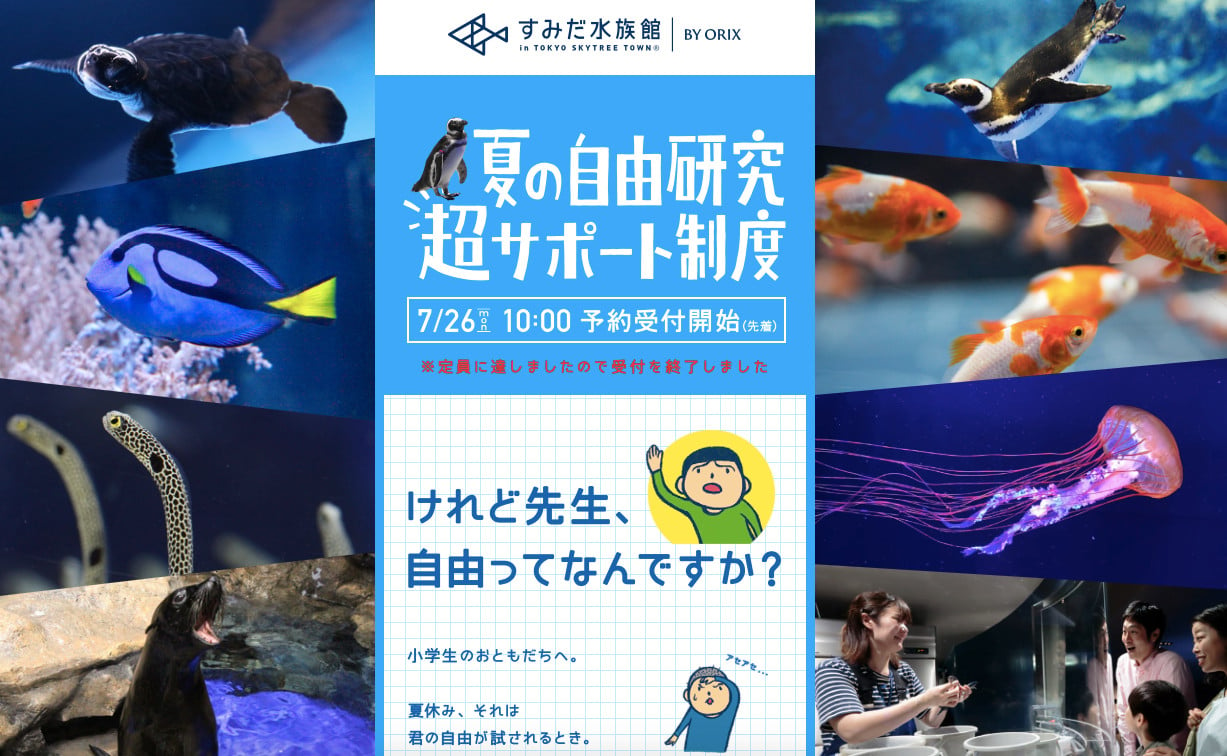 すみだ水族館「夏の自由研究 超サポート制度」が神企画だった！ ペンギンはお風呂に入る？何時に寝るの？ 飼育員さんと一緒に観察 ｜ ガジェット通信  GetNews