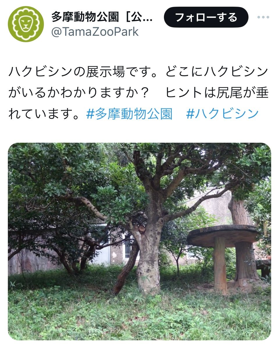 どこにハクビシンがいるかわかりますか？　多摩動物公園のクイズに「ハクビシンって動物園にいるのか」の声