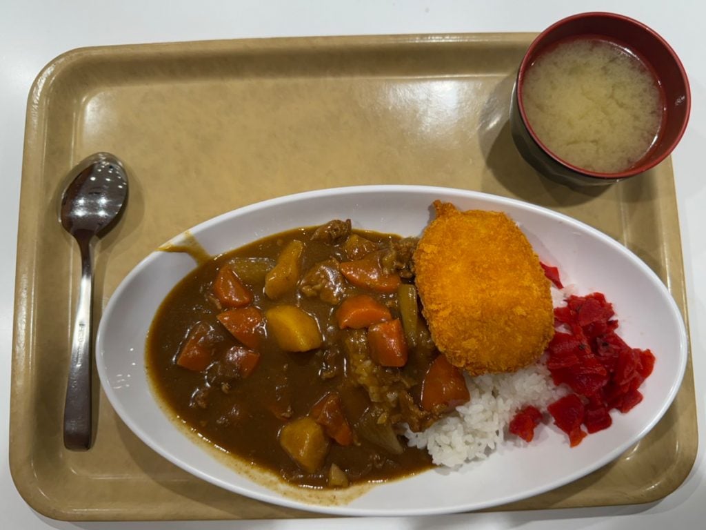 新宿区歌舞伎町で「こういのでいいんだよ」な感じの野菜たっぷりカレーが550円！　その場所は……