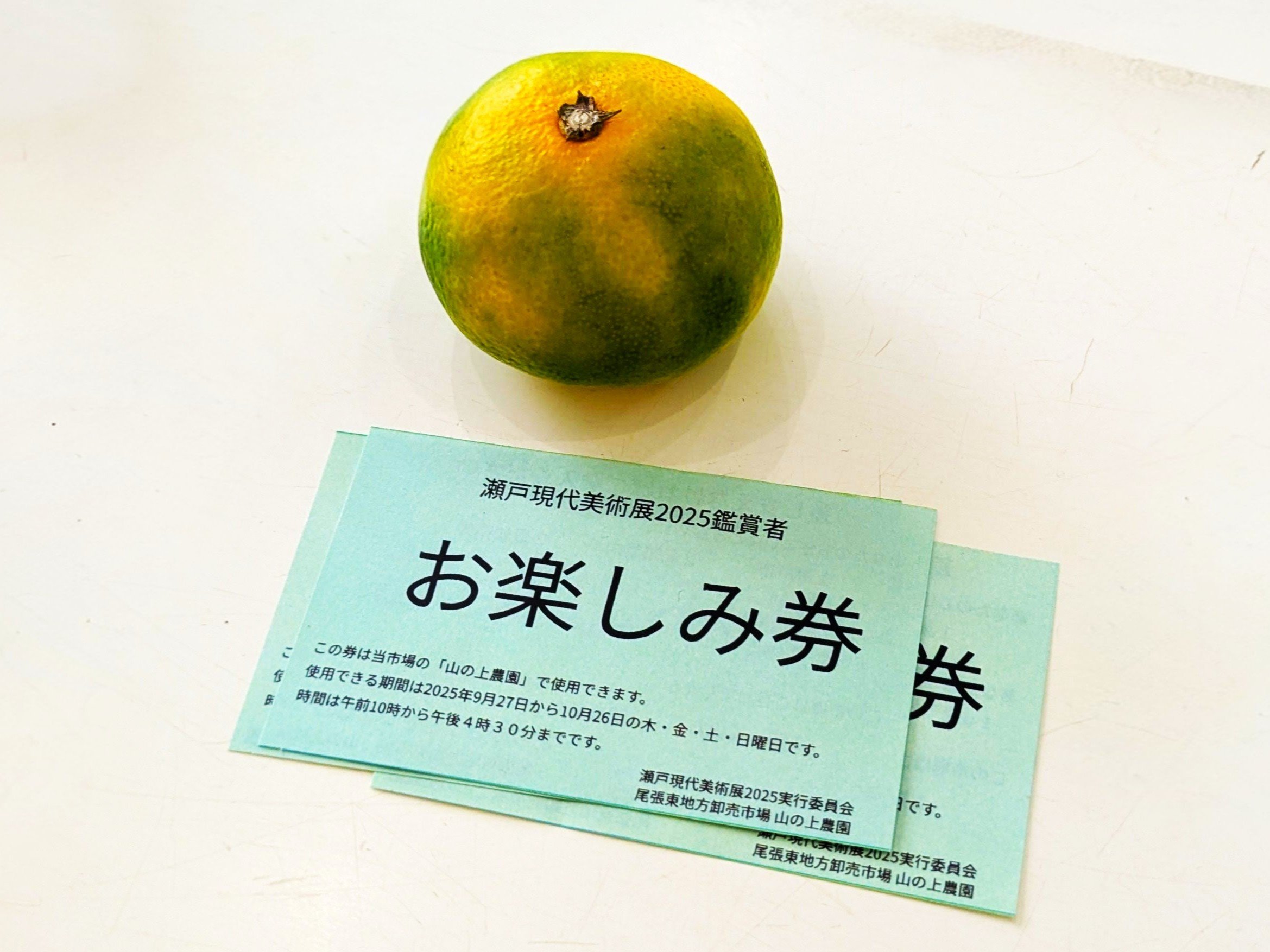 【愛知県瀬戸市】“市場”で開かれるアート展―「お楽しみ券」の正体とは…？｜瀬戸現代美術展2025