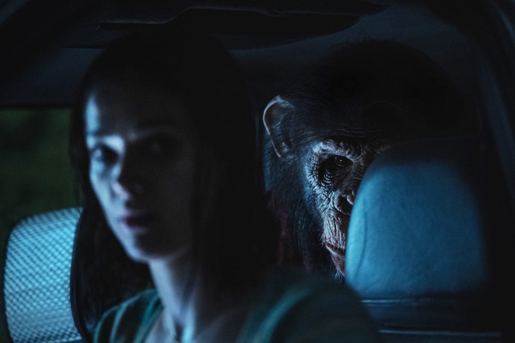 可愛いと怖いが交錯する“kowaii”を体験せよ！　映画『おさるのベン』ヨハネス・ロバーツ監督インタビュー