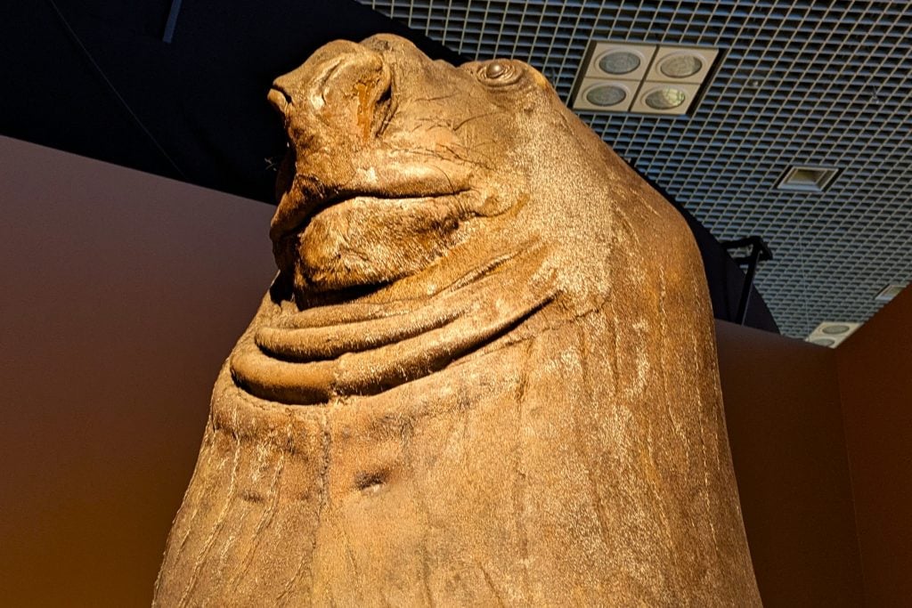 巨大ナマケモノに驚き！「いきもの超ワールド展」で感じる生命の進化【国立科学博物館】