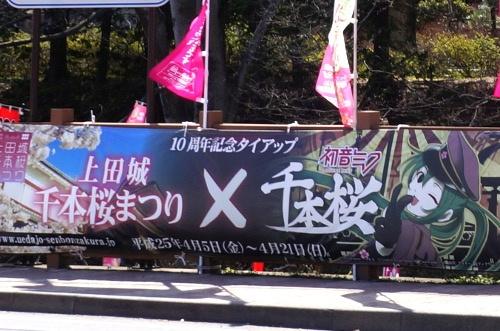 桜の名所と人気楽曲がコラボ！ 「上田城千本桜まつり10周年×初音ミク