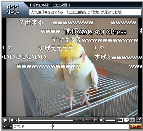 チョコボのテーマ曲を歌うインコがスゴイ ガジェット通信 Getnews