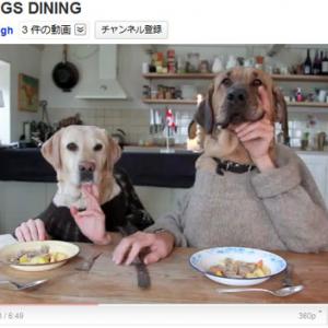 犬と人間の奇妙な二人羽織 ガジェット通信 Getnews