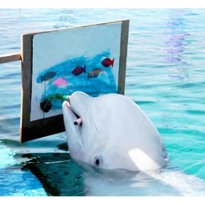 白イルカ画伯やハロウィン企画 そして花火ショー 秋もやっぱり八景島シーパラダイスが楽しい ガジェット通信 Getnews