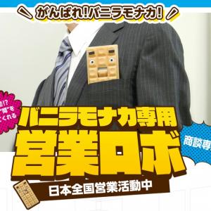 チョコモナカジャンボ に対抗 森永製菓の バニラモナカジャンボ 推しが気合入りすぎ 専用営業ロボまで開発してる ガジェット通信 Getnews