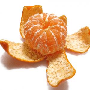 みかんの白い筋は取らずに食べて その知られざる健康効果 ガジェット通信 Getnews