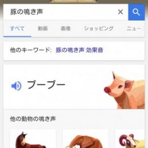 Google検索で動物の鳴き声を検索可能に ガジェット通信 Getnews