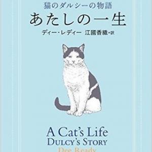 主人は猫で あなたは下僕 主従関係が逆転した 猫好き必読の小説がついに文庫化 ガジェット通信 Getnews