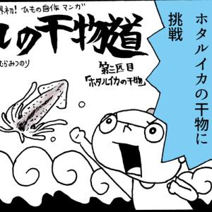 ひもの漫画 ホタルイカの干物を自作すると晩酌が極楽タイムになる話 干物道 ひものみち 第3回 ガジェット通信 Getnews