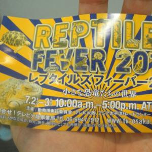 大阪 関西屈指の爬虫類イベント レプタイルズフィーバー16 に行ってきました ガジェット通信 Getnews