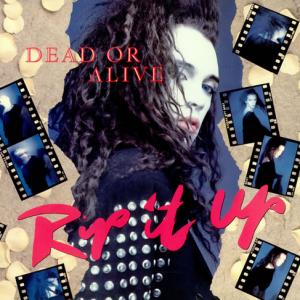 DEAD OR ALIVE ピートバーンズ デッドオアアライブ 小冊子