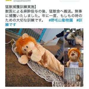 安全を守る為の真面目な取り組みだけど 着ぐるみを使った動物園の 脱走訓練 が和む ガジェット通信 Getnews