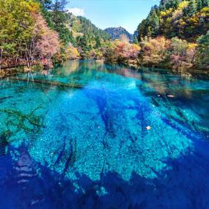 １００の青が彩る秘境 九寨溝 と神の宝石で満ちた 黄龍 の絶景 ガジェット通信 Getnews