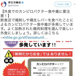 加熱 カンピロバクター