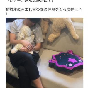 動物に囲まれ眠る櫻井孝宏が尊すぎる 秒速で保存した ぬいぐるみになりたい オタ女 ガジェット通信 Getnews