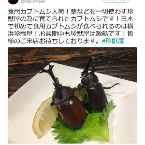 昆虫食 日本初 食用カブトムシ に困惑 しかも成虫 ガジェット通信 Getnews