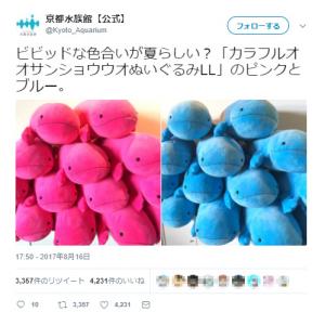 この色は スプラトゥーン2 の影響 オオサンショウウオのぬいぐるみがビビッドで可愛い ガジェット通信 Getnews