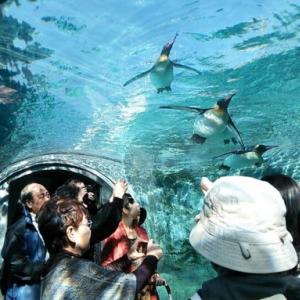 北海道の夏に行きたい観光スポット10選 ガジェット通信 Getnews
