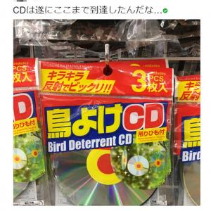 実は効果が薄い 鳥よけ用cdの存在に おわりのはじまり 廃棄cdリサイクルすればいい といった反応集まる ガジェット通信 Getnews