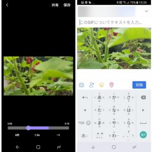 Galaxy S8やgalaxy Note 8で動画からgifアニメーションを作成する方法 ガジェット通信 Getnews