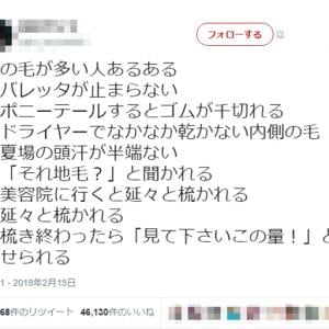 ポニーテールするとゴムが千切れる 美容院と髪を延々と梳かれる 髪の毛が多い人あるあるツイートに共感続出 ガジェット通信 Getnews