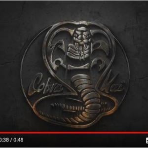 映画 ベスト キッド 続編の Cobra Kai コブラ会 予告編公開 ガジェット通信 Getnews