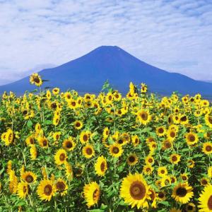 世界で見つけた 富士山 に似ている山８選 あなたの知らない富士山トリビア ガジェット通信 Getnews