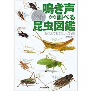 この鳴き声は何の虫 鳴き声に注目した 昆虫図鑑 ガジェット通信 Getnews