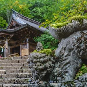 年齢と性別を伝えると神職者がひいてくれる 戸隠神社の日本神話のおみくじ ガジェット通信 Getnews