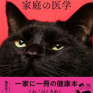 食欲のない猫にはナニが正解 おやつは必要 獣医さんが教える長生き猫ごはん ガジェット通信 Getnews