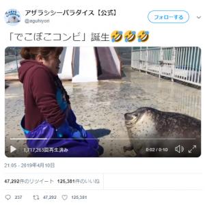 アザラシの 首に顔が食い込む 動画ツイートが話題に 一緒にやってたら身体ほぐれてきた かめさんみたい ガジェット通信 Getnews
