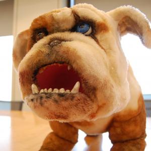 映画 Diner ダイナー の可愛すぎる 狂犬 菊千代さんに会ってきた がるるるる 観なきゃ噛みつくぞ ガジェット通信 Getnews
