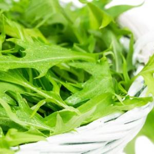 水菜の冷蔵 冷凍保存 食感を約2倍長持ちさせる保存のコツ ガジェット通信 Getnews