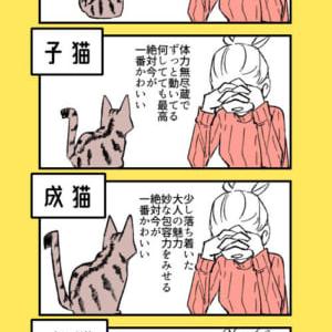 猫は『今』が一番可愛い」に共感の嵐 ｜ ガジェット通信 GetNews