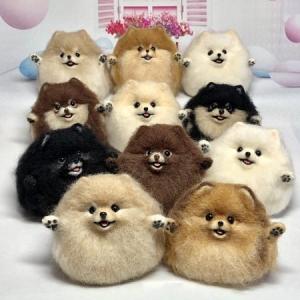 おやつをくれなきゃ襲っちゃうぞ 羊毛フェルトのポメラニアン集団に これなら襲われたい ガジェット通信 Getnews